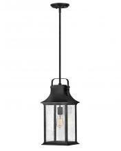  2392TK - Medium Hanging Lantern