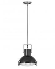  49067PN - Medium Pendant