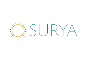 Surya Rugs