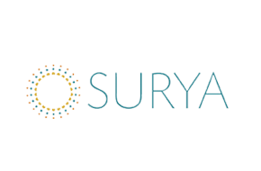 SURYA RUGS in 